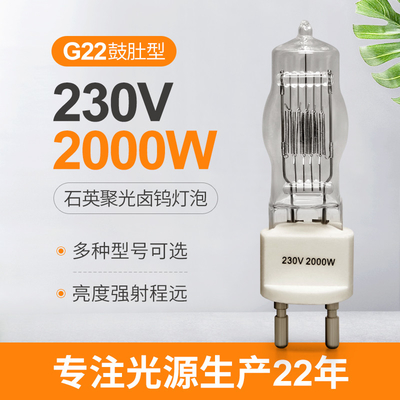 230v 2000w G22 مصباح لمبة هالوجين واحدة ذات نهاية واحدة 3200 كيلو 300 ساعة