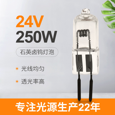 24V 250 وات الكوارتز لمبة الهالوجين مصباح الإسقاط إضاءة المرحلة 50 ساعة GY6.35 المقبس