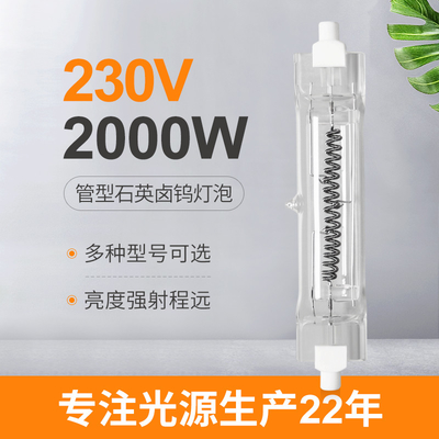 230V 2000 وات كوارتز مصباح هالوجين مزدوج نهاية المصباح الكهربائي R7s مصباح حراري